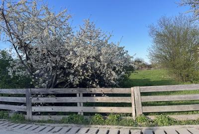 Spațiu comercial, în Vicovu de Jos - 1