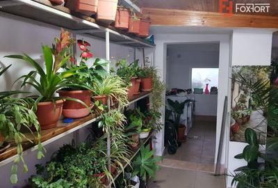 Casă individuală cu 4 camere cu Canalizare în Girocului - 18