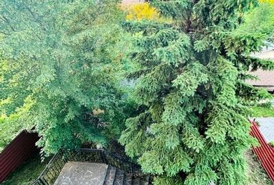 Vila la Munte - in Breaza, Prahova Vila la Munte - in Breaza, Prahova - 24