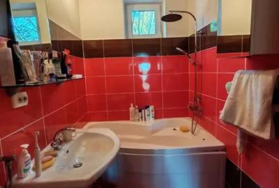 Apartament cu 2 camere semidecomandat în Săsar - 3