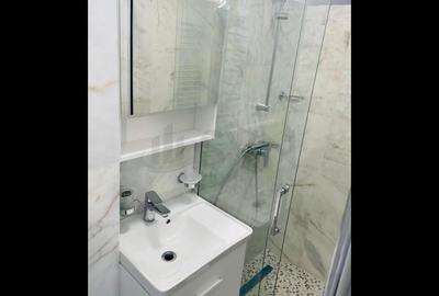 Apartament 2 camere de inchiriat crangasi - 5