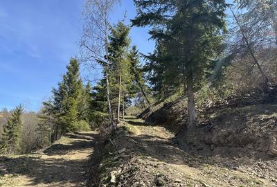 Spațiu comercial, în Mărișel - 6