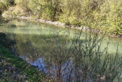 Teren de 7178 mp, în Frătăuții Vechi - 2