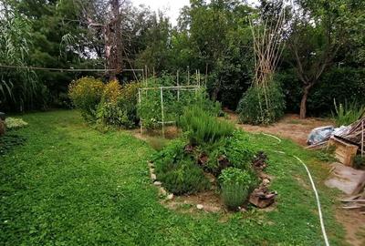 Casă cu 2 camere în Central - 3