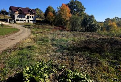 Casă individuală cu 5 camere cu Teren 2700 Mp în Alexandru cel Bun - 14