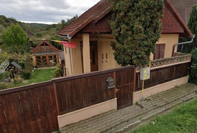 De vanzare casa individuala in Seica Mica - 9