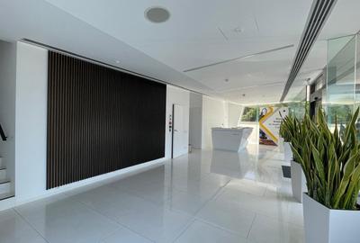 Timpuri noi-cladire de birouri - 12