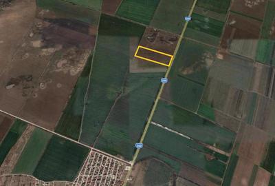 Teren de 25700 mp, în Ștefăneștii de Sus - 2