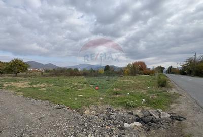 Teren de vanzare - Str. Dumbravei, cu front la centura (26 m) - 3