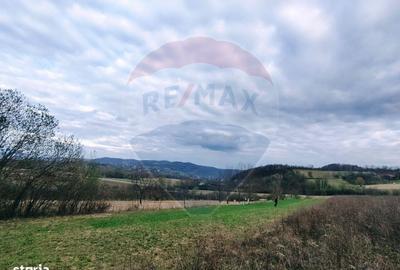 Spațiu comercial, în Copalnic - 5