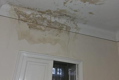 Hala Traian- singur curte- renovabila/demolabila - 7