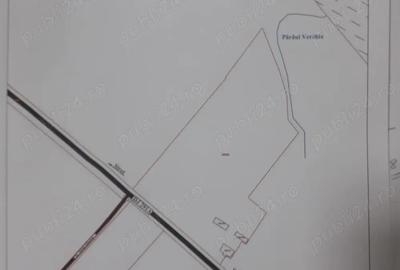 Teren de 35500 mp, în Zamostea