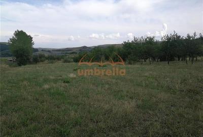 De vanzare teren 1.800/? intrav. in Deus- Chinteni ! - 6