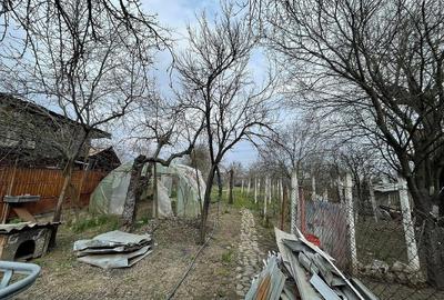 Casă cu Teren 1200 Mp în Blejoi - 4