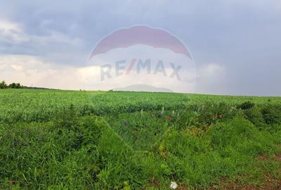 Teren Construcții intravilan de 15000 mp, în Ciolpani - 4