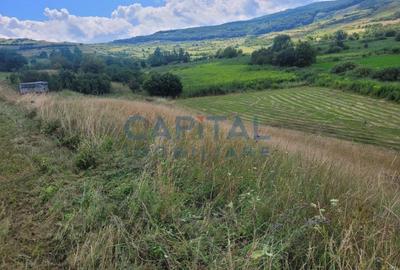 Teren de vanzare intravilan - Zona Sopor - 3