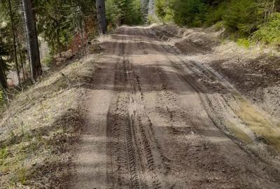 Teren de 4408 mp, în Dorna Candrenilor - 3