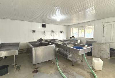 Fabrica de productie branzeturi, Business functional, 25 de ani activitate - 8