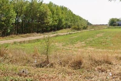 Spațiu comercial, în Surlari - 1