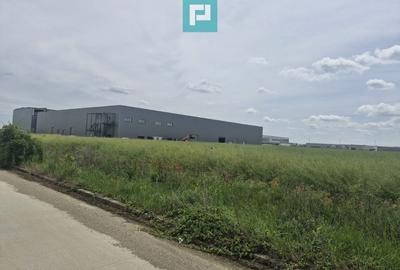 Teren Construcții intravilan de 20000 mp, în Giarmata - 4