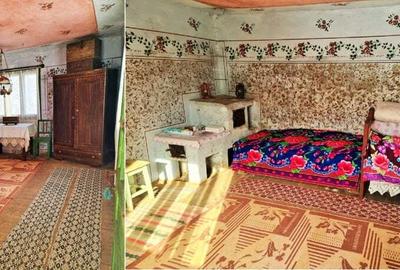 Casă cu 2 camere în Zam - 7