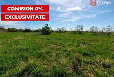 Comision 0% Teren intravilan 3000 mp in Padureni Jebel - 4