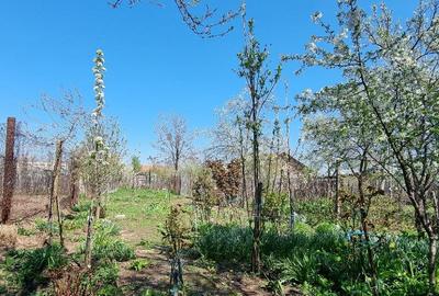 Casa - Caracal Olt - 16