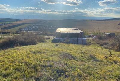 Spațiu comercial, în Șura Mare - 6