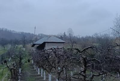 Casă cu 3 camere cu Teren 2800 Mp în Central - 4