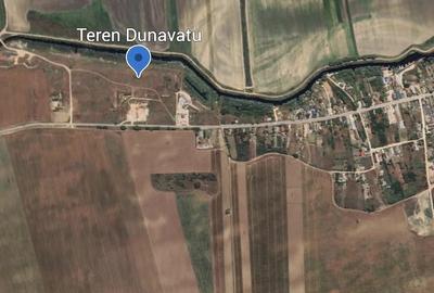 Teren de 10000 mp, în Dunavățu de Jos - 1