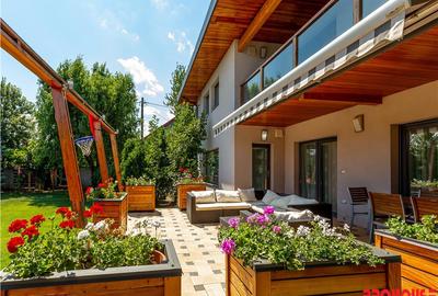 Magura - Barati - Rafinamentul este la el acasa! - 3