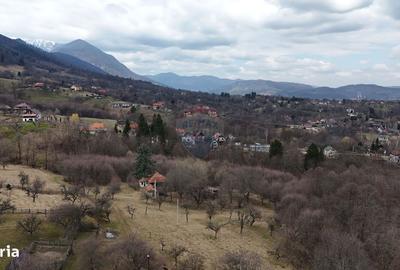 Spațiu comercial, în Predeluț - 11