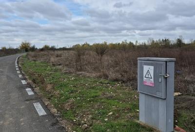 Terenuri de constructie in Domnesti cu toate utilitatile disponibile - 5