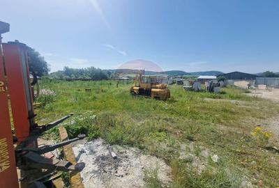 Spațiu industrial, de 290 mp, în Almaș - 15