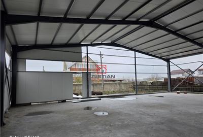 Depozit/hala/spatiu industrial Pantelimon - Comuna Pantelim - 6