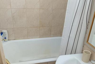 Proptietar inchiriez apartament cu 2 camere Tache Ionescu 450 euro - 1
