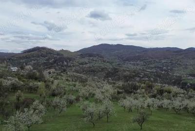 Teren de 8316 mp, în Berislăvești - 1