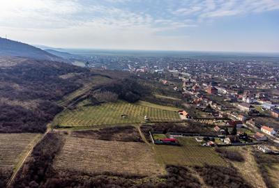 Teren Construcții intravilan de 2800 mp, în Șiria - 3