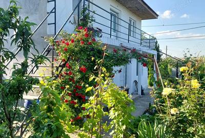 Casă cu 6 camere cu Teren 2000 Mp în Cataloi - 3