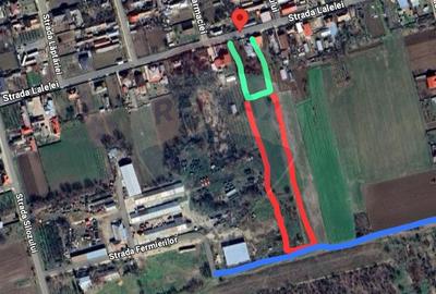 Teren Construcții intravilan de 4000 mp, în Fierbinți-Târg - 3