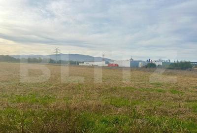 Teren intravilan, 11000mp, zona Carolina Mall - 3