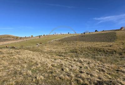 Teren extravilan, 4130mp, cu parau, la 500m de Primaria Marisel - 12