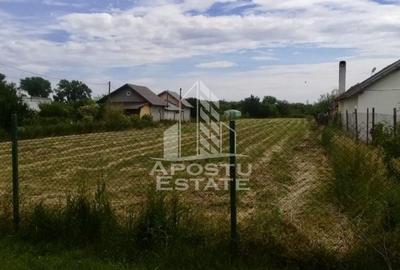 Teren intrevilan 3000 mp Uliuc