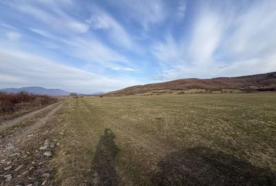 Spațiu comercial, în Unirea - 3