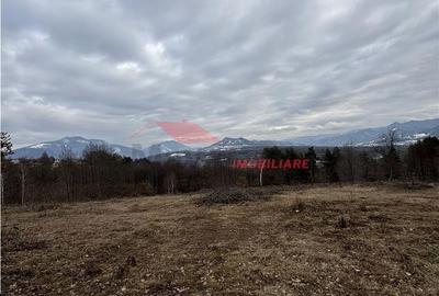 Spațiu comercial, în Prundu Bârgăului - 3