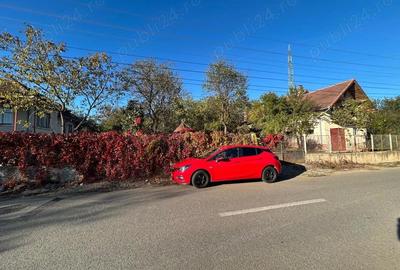 Casă cu 3 camere în Peștișu Mare - 1