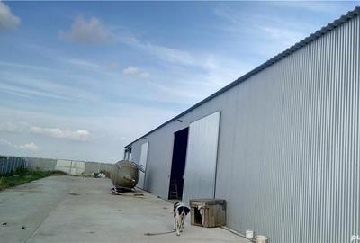 Spațiu comercial, de 3,500 mp, în Pădureni - 2