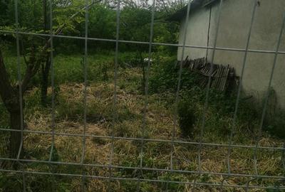 Casă în Țăndărei - 4