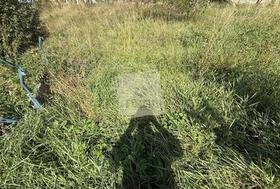 Casă cu 2 camere cu Canalizare în Șura Mare - 7