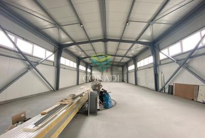 Hale Industriale de Vanzare/Inchiriere | Planul 2 DNCB | Pantelimon - 10